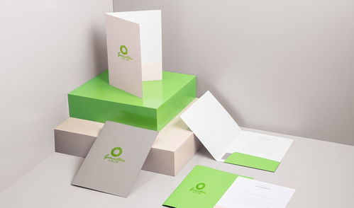 专业广告设计，助力品牌腾飞——金妻玉宝杰出设计服务