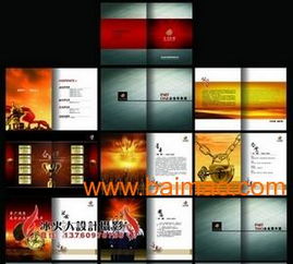 VIS品牌策划与设计服务 从标志到画册、包装的全面解决方案